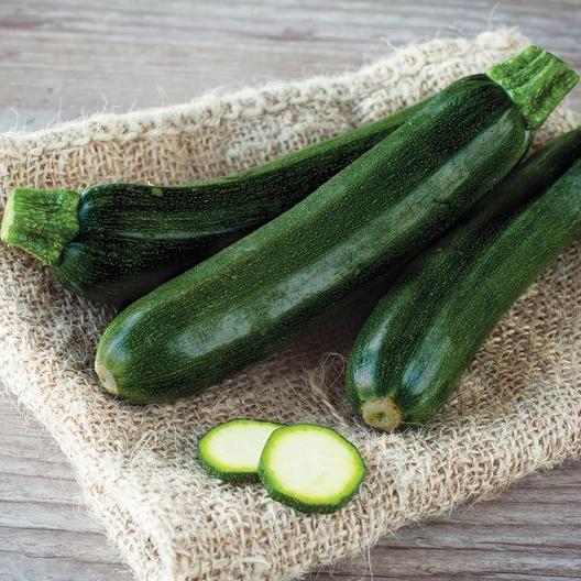 Squash (Summer) Seeds - Black Beauty