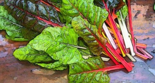 Beta, Mangold, Seakale Beet, Swiss Chard Bright Lights