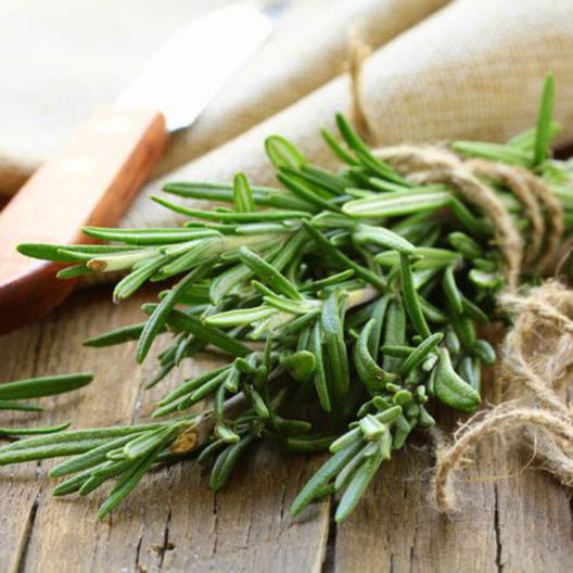 Rosemary Seeds