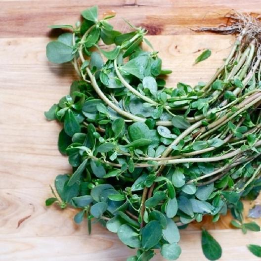 Purslane Seeds - Green