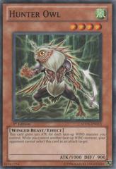 Hunter Owl - SDDL-EN013 - Common - 1st Edition