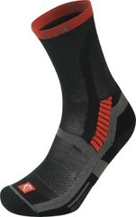 Lorpen - T3 Light Hiker Socks - Men's - BLACK/ORANGE