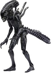 Hiya Toys Alien vs. Predator: Requiem Xeno Warrior 1:18 Scale Figure,Multicolor