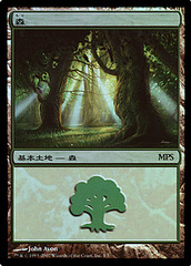 Forest - Lorwyn Cycle - Foil