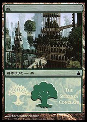 Forest - Selesnya Conclave - Foil