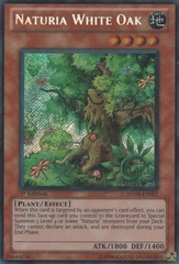 Naturia White Oak - HA04-EN051 - Secret Rare - 1st Edition