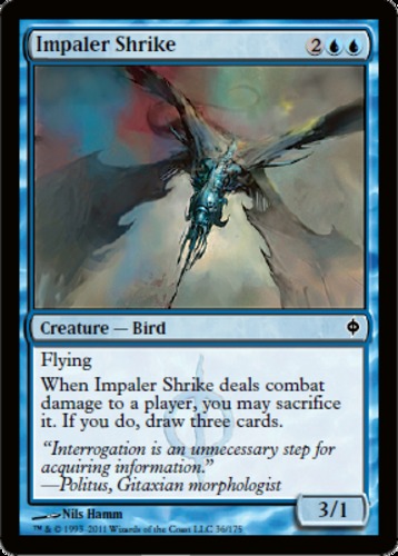 Impaler-shrike