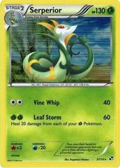 Serperior - 5/114 - Holo Rare