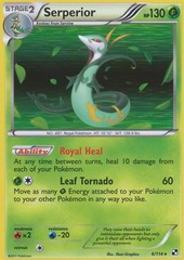 Serperior - 6/114 - Holo Rare