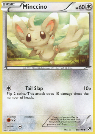 Minccino - 88/114 - Common