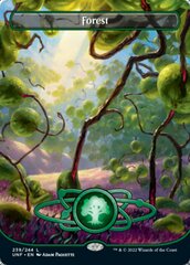 Forest (239) (Borderless) - Foil