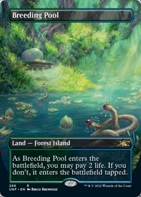 Breeding Pool - Borderless