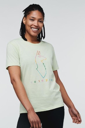 Cotopaxi - Electric Llama T-Shirt - Womens - LICHEN