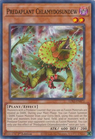 Predaplant Chlamydosundew - LDS3-EN071 - Common - 1st Edition
