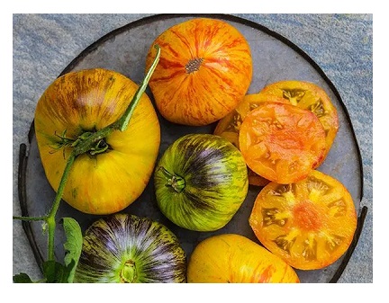 Alices Dream Tomato