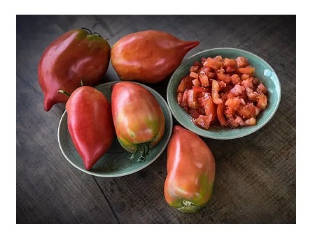 Korean Long Tomato