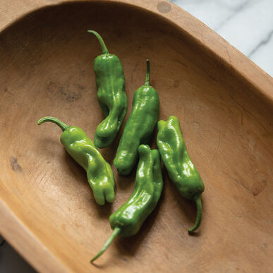 Shishito (Organic Shishito Pepper Seed)