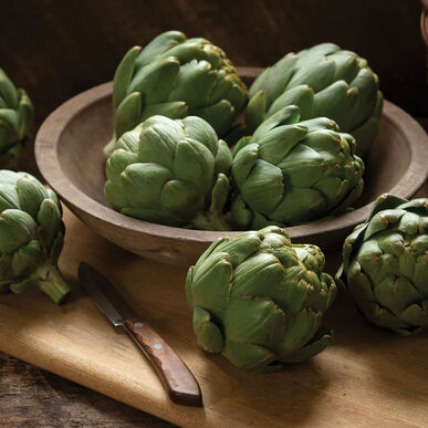 (PT-16 Organic Artichoke Seed)