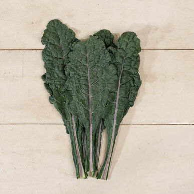 Dazzling Blue (Organic Kale Seed)