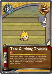 Tree Climbing Training