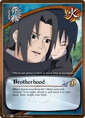Brotherhood - M-799 - Rare - 1st Edition