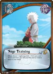 Sage Training - M-800 - Rare - 1st Edition