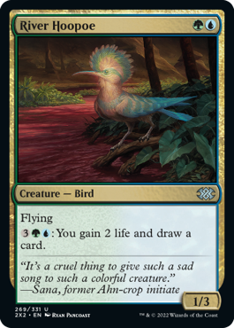 River Hoopoe - Foil