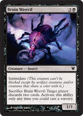 Brain Weevil