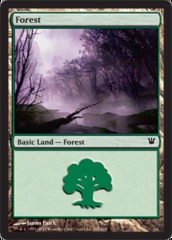 Forest 262/264