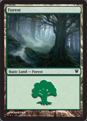 Forest 263/264