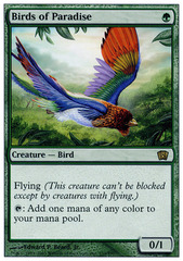 Birds of Paradise - Foil