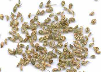 Ajowan Seeds