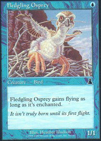 Fledgling Osprey - Foil