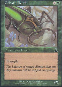 Goliath Beetle - Foil