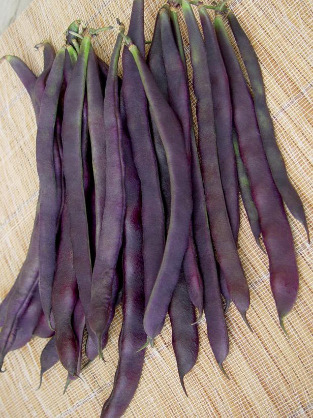 Trionfo Violetto Bean