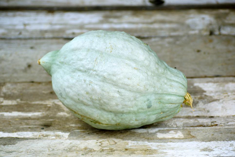 Blue Hubbard Squash