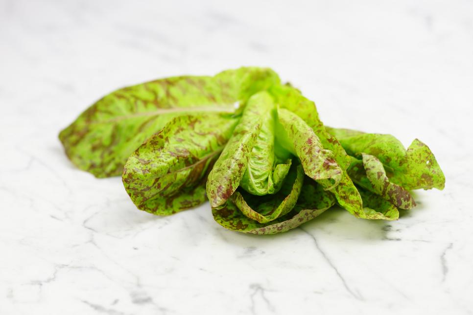 Forellenschluss (Trout Back) Lettuce