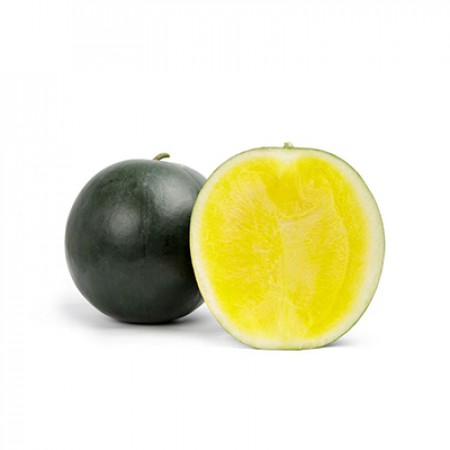 Tropical Sunshine RZ F1 (62-599)
