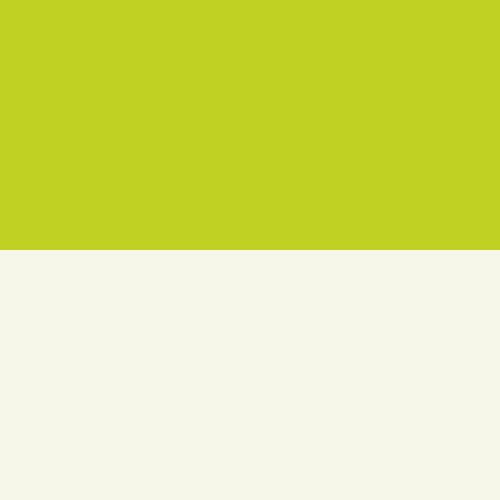 Amphipod - Xinglet - GREEN/SILVER