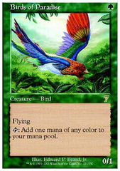 Birds of Paradise - Foil