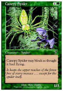 Canopy Spider - Foil