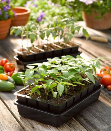 Growease Seed Starter Kit