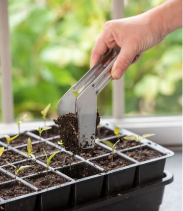 Seedling Transplant Tongs