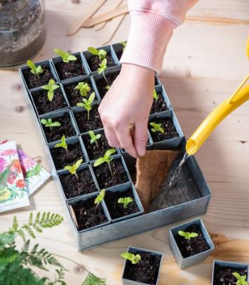 Self-Watering Galvanized Seed Starting Tray