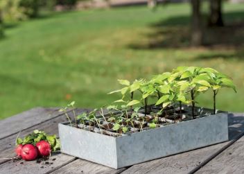 Galvanized Seed Starting Tray