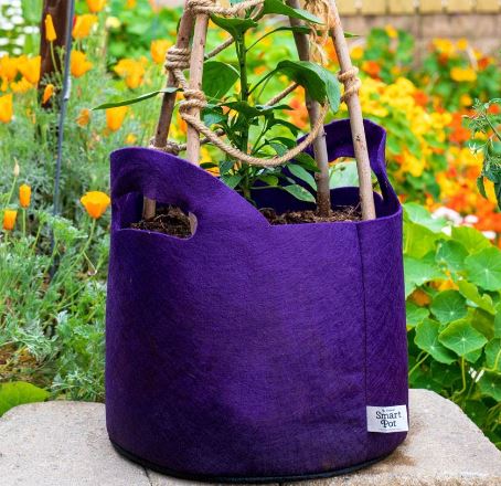 Smart Pot w/ Handles (Purple) 10-Gallon Fabric Planter