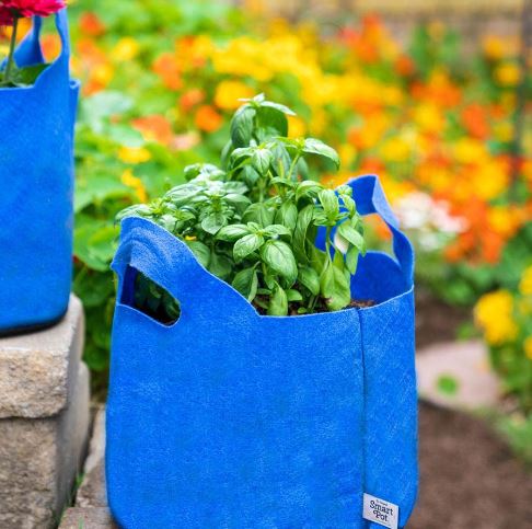 Smart Pot w/ Handles (Blue) 10-Gallon Fabric Planter