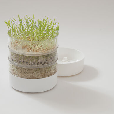 Bioset Germinator Kit