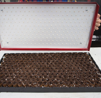 Seed Plate A264 Paperpot Vacuum Seeder Accessory