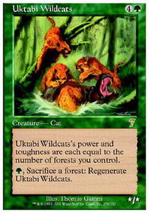 Uktabi Wildcats - Foil